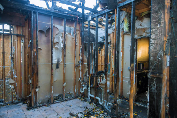 Professional Fire Damage Repair technician working in Princeton, MN